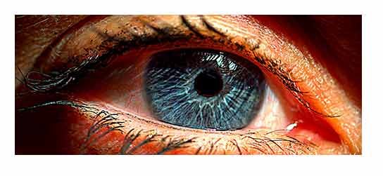 eye.jpg eye.jpg