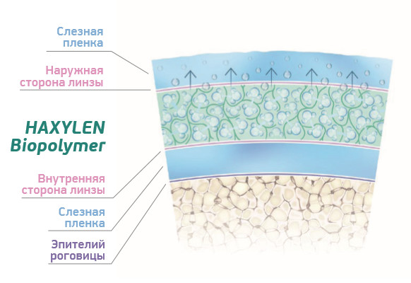 HAXYLEN Biopolymer HAXYLEN Biopolymer